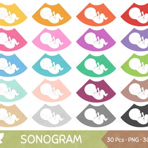 Sonogram Clipart, Échographie Grossesse maternité enceinte Ultasonography New Baby Rainbow PNG, Utilisation commerciale image 1
