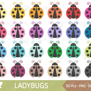 Ladybug Clipart, Lady Bugs Clip Art, Ladybugs Insect Cartoon Animal Bug Cute Garden Rainbow Digital Graphic PNG Download, Commercial Use