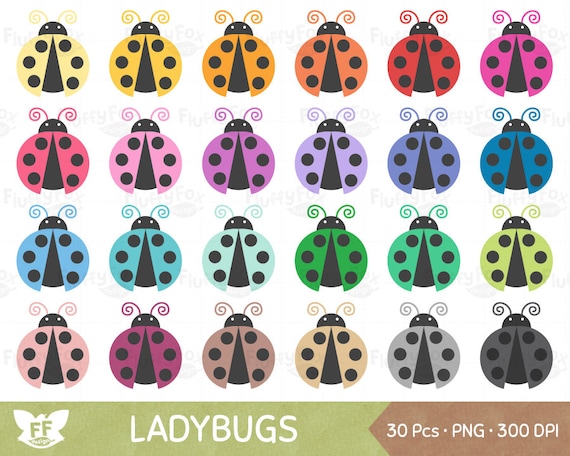 Ladybug clipart, cute ladybug png, bug clipart, love bug clipart