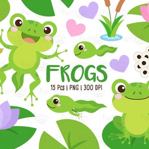 Clipart de sapos, clipart de animais de lagoa, massas de ovos de sapo de girino almofadas de nenúfares aquáticos anfíbios selvagens fofos coloridos, download gráfico PNG