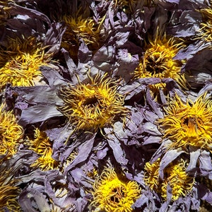Whole Blue Lotus Flowers - Organic