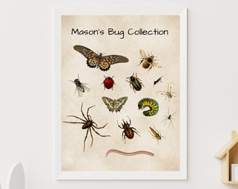 Vintage Insect Art Specimen Bathroom Wall Art Entomologist Gift Bug Print 1900 Antique Monarch Butterfly Print Bug Art Insect Print Vintage Insect Art Specimen Bathroom Wall Art Entomologist Gift Bug Print 1900 Antique Monarch Butterfly Print Bug Art Insect Print