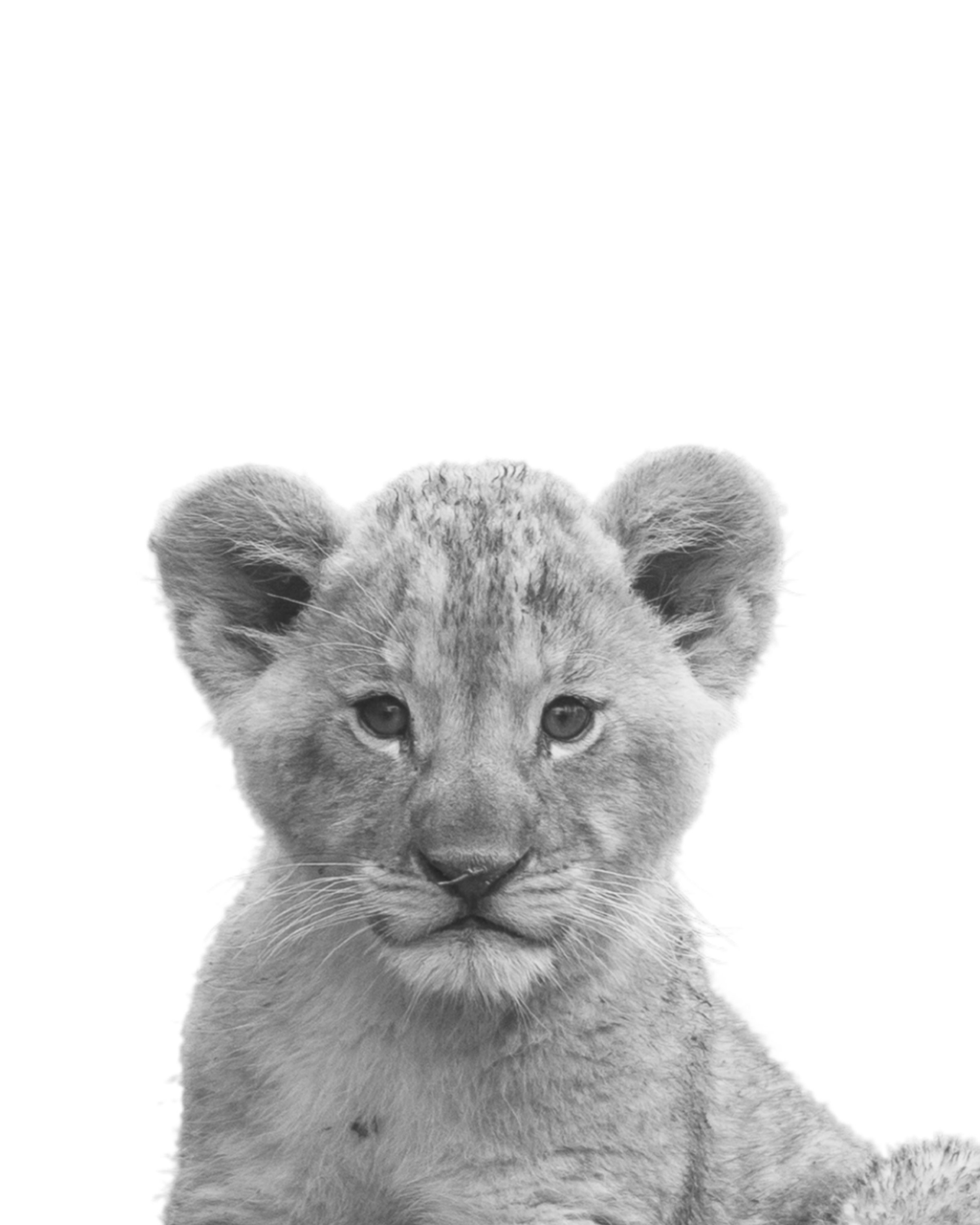 Safari nursery print baby animal print black and white - Etsy España