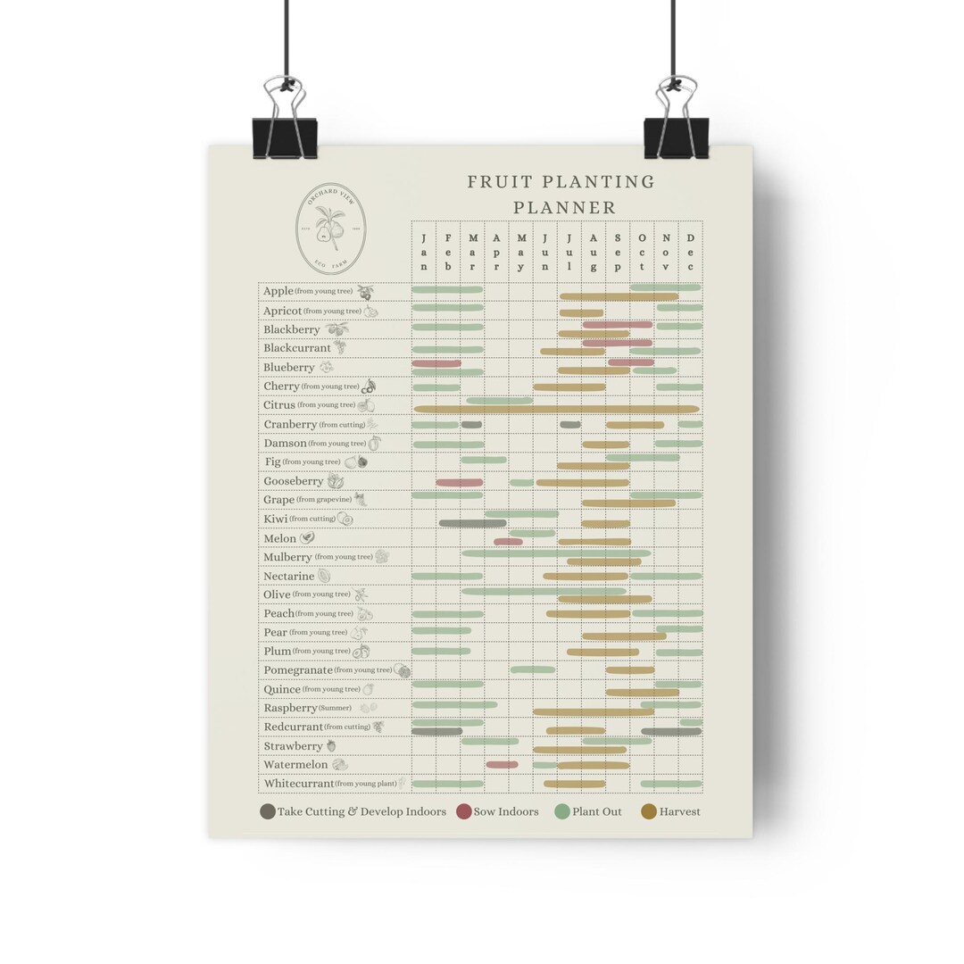 British Fruit Planting Planner - Your Year Round Garden Companion ...