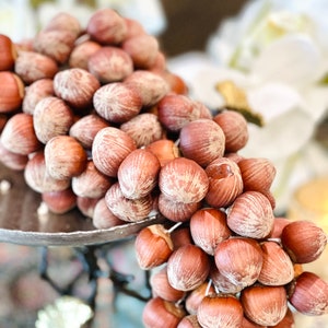 Sofreh Aghd Hazelnut cluster (fandogh) - Decorative Hazelnut  - Khousheh fandogh