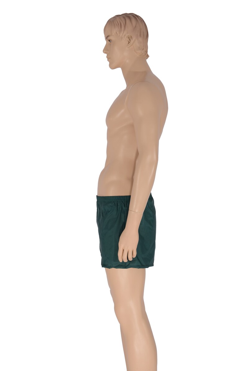 May include: A dark green pair of athletic shorts.