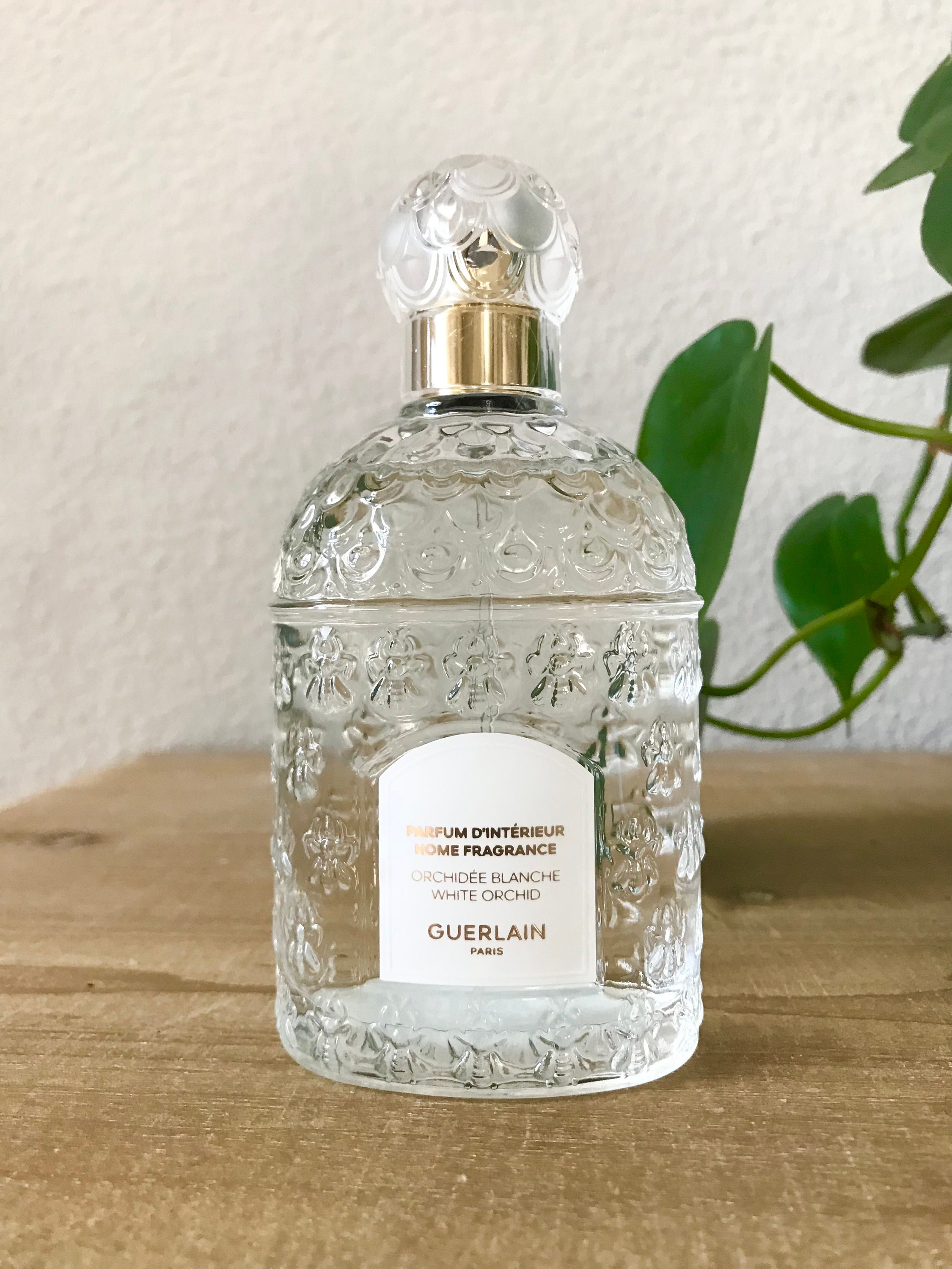 Fare konkurrence Funktionsfejl Guerlain White Orchid Home Fragrance Room Parfum 3.3 Oz 100 Ml - Etsy