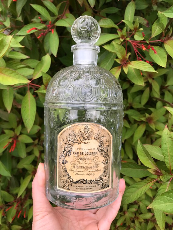 Bee Bottle EMPTY Vintage 1940s Guerlain Eau De Co… - image 6