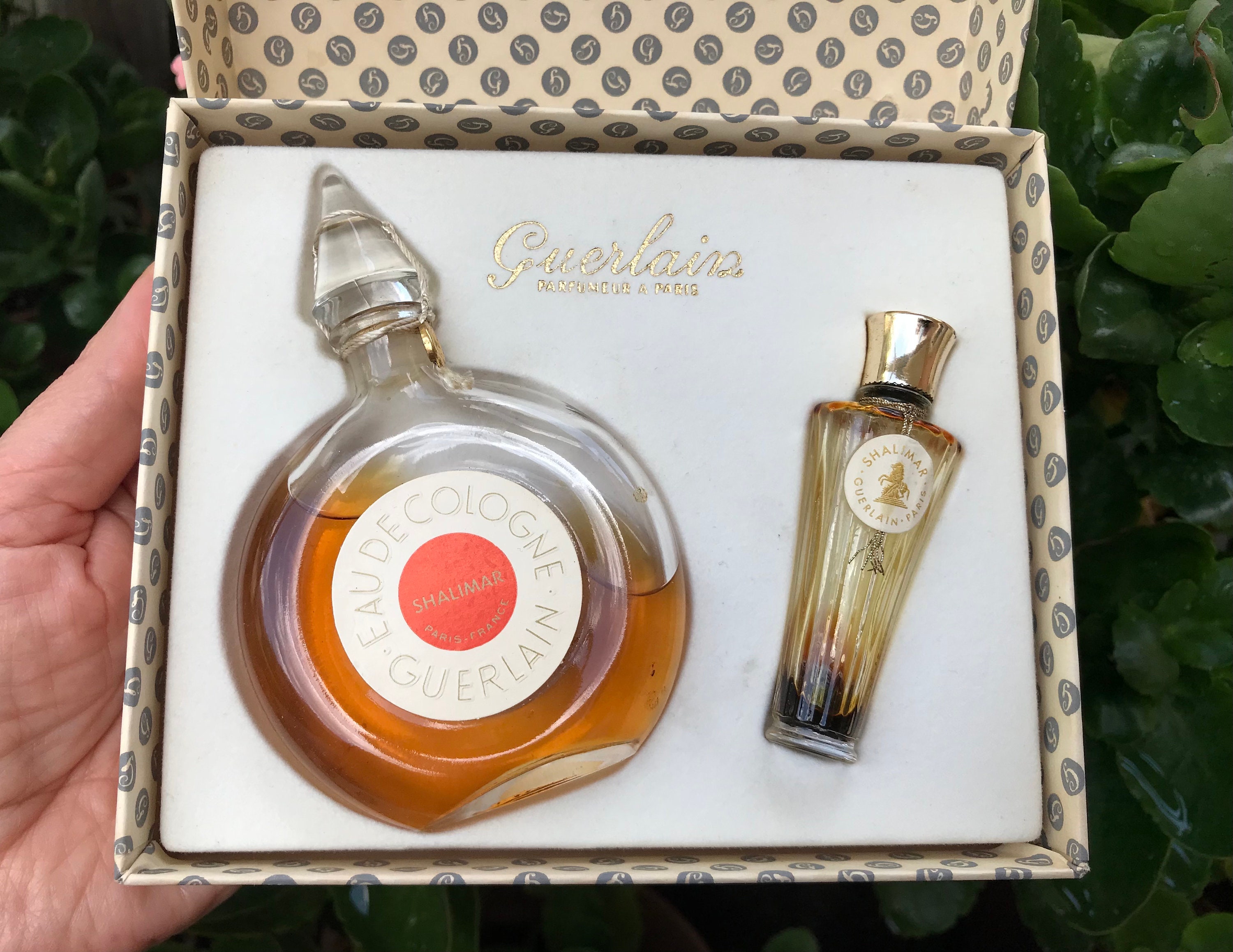GUERLAIN SHALIMAR 香水限定セット 50ml GUERLAIN Shalimar Eau de