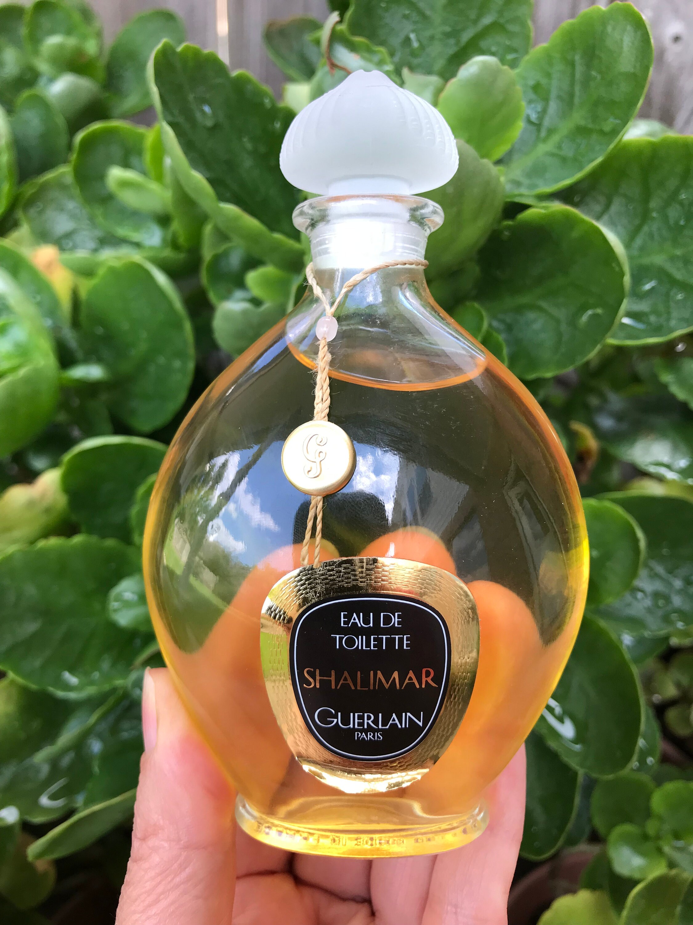 迫力の大瓶、SHALIMAR GUERLAIN EAU DE TOILETTE Guerlain, Shalimar