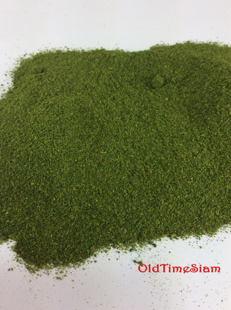 Fake Moss Powder Algae 50 Grams Thallophytic Plant Lichen Green Jardiniere Growing Plant Pot