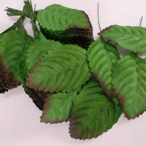 Könnte beinhalten: Ein Bündel grüner Filzblätter mit braunen Rändern. Die Blätter sind zu einem Stapel angeordnet und bereit für die Verwendung beim Basteln.