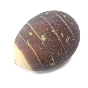 May include: A brown and white striped root vegetable with a slightly oval shape.