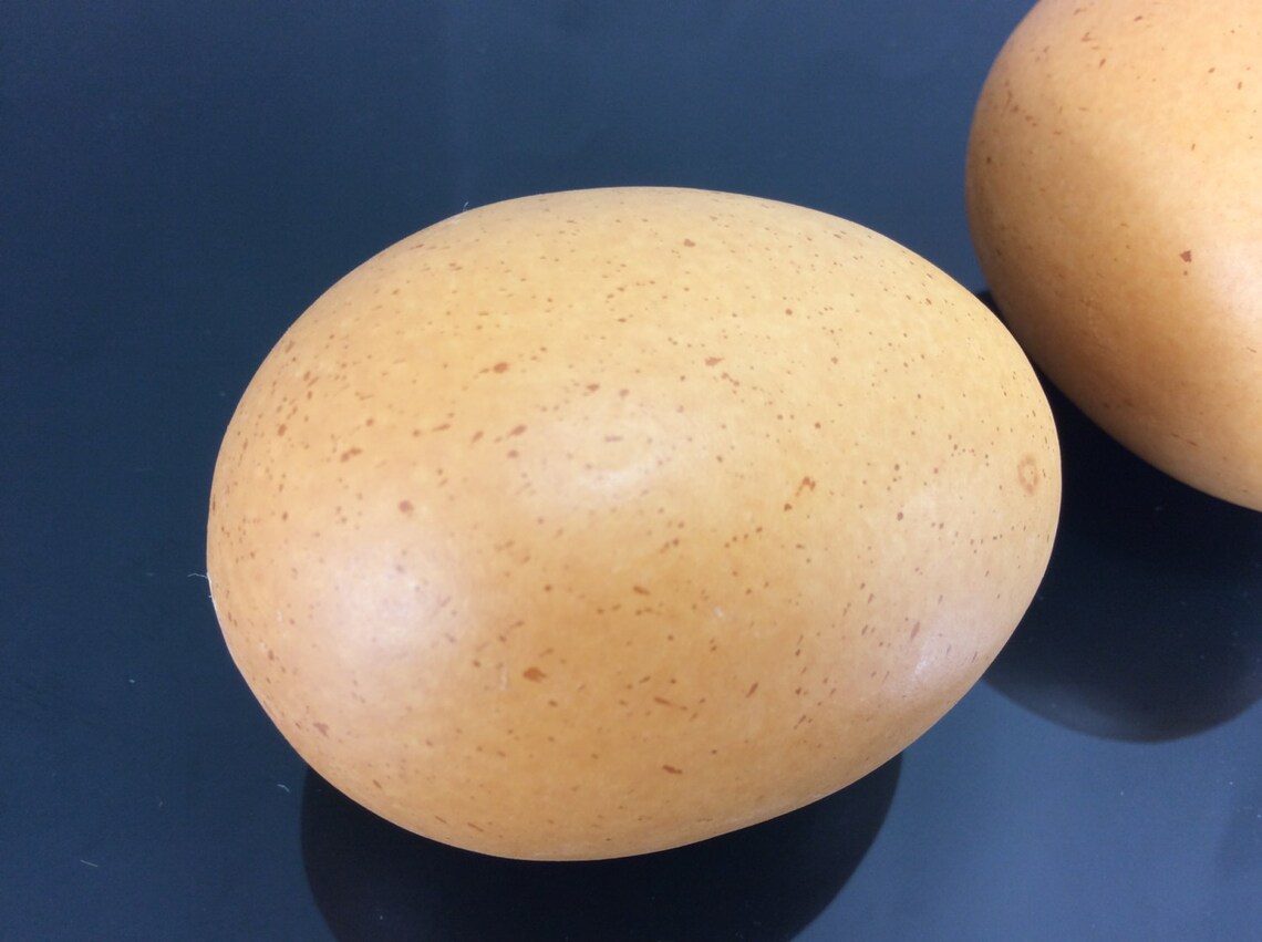 Egg Artificial Lifelike Simulation Faux Fake Chicken Egg 3 Etsy