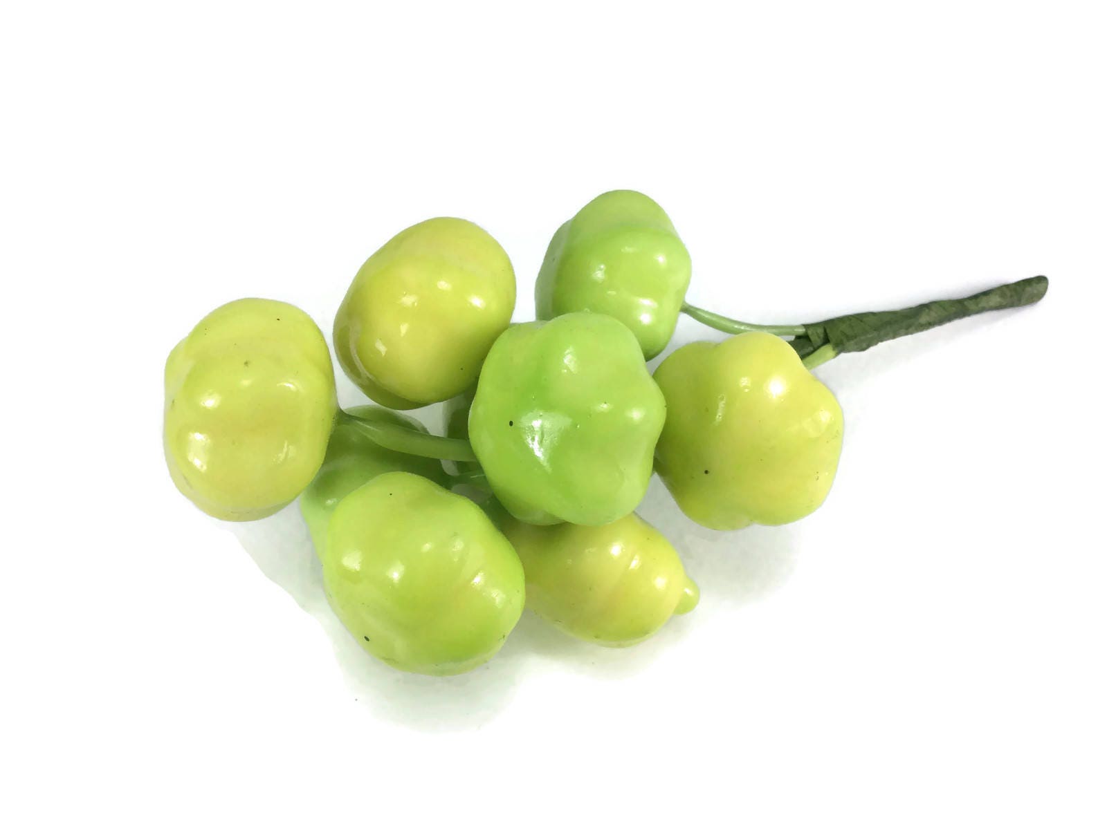 Phyllanthus Acidus verde artificial simulación realista deja | Etsy