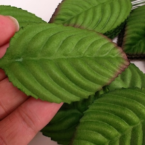 May include: A pile of green felt leaves with a slightly darker brown edge. The leaves are arranged in a pile, with some overlapping. The leaves are smooth and have a slightly textured surface.