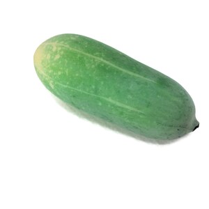 Vegetable sex toy - Etsy sterreich