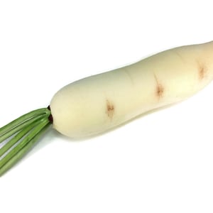 May include: A white daikon radish with green stems and leaves. The elongated root vegetable has a creamy white color with light brown markings. The green stems are clustered together at the top of the radish.