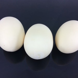 Egg White Artificial Lifelike Simulation Faux Fake Duck Egg 3 Pieces