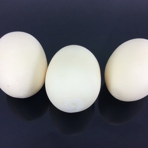 May include: Three white eggs on a black surface.