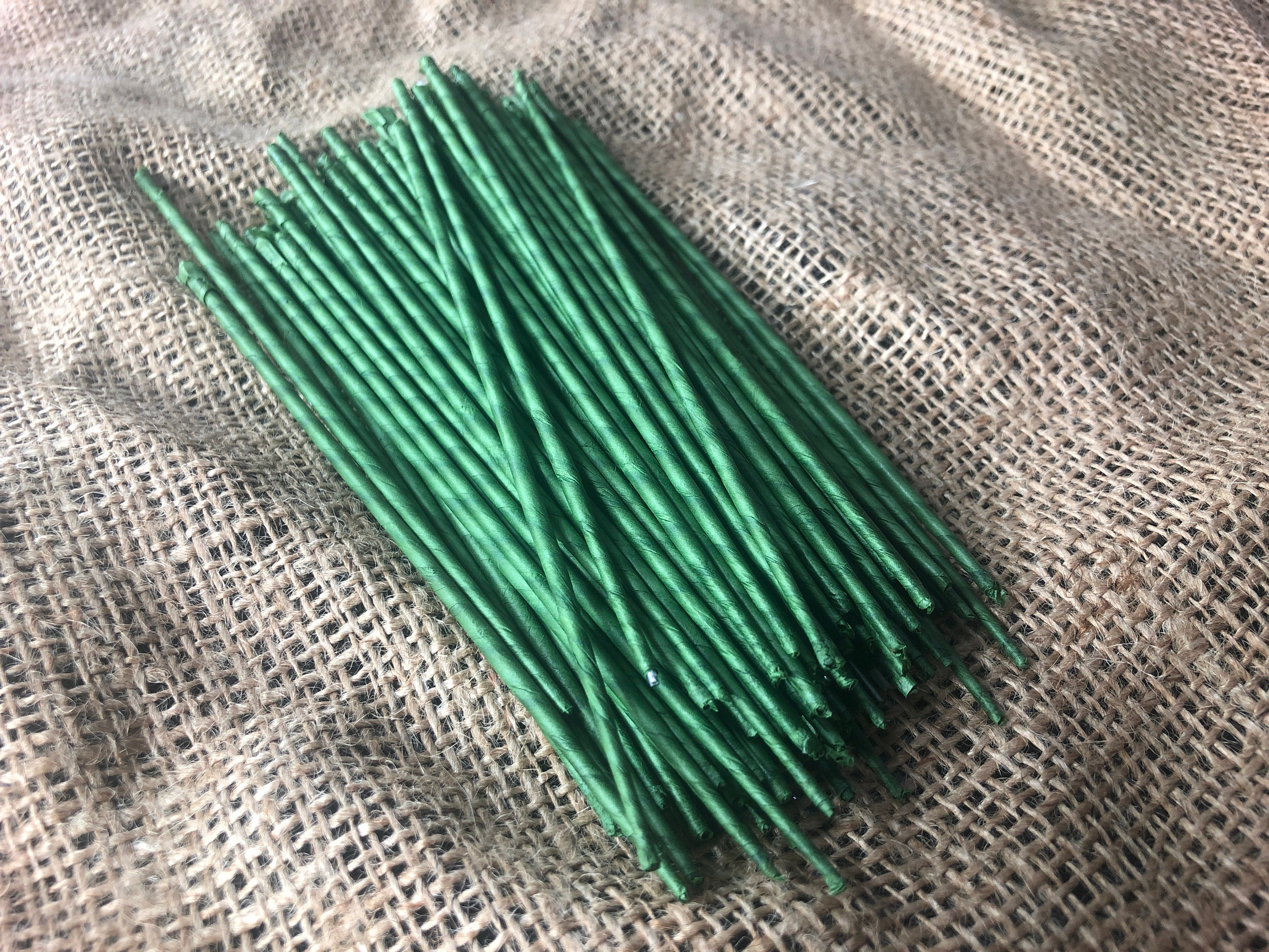 6" Floral Wire Gauge 18 2.5 mm Green Stem Wire 100 Stems Artificial…