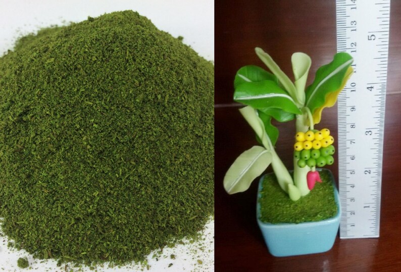 Fake Moss Powder Algae 50 Grams Thallophytic Plant Lichen Green Jardiniere Growing Plant Pot