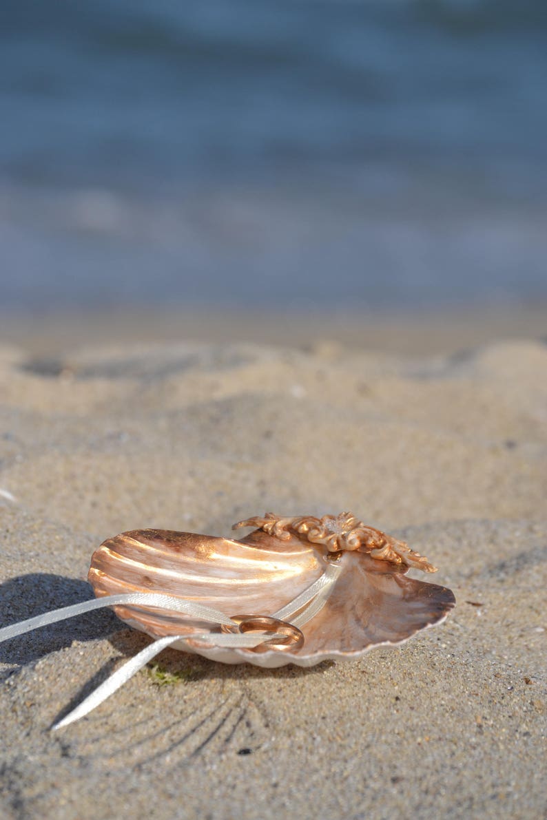 Seashell Ring Holder Rosegold Shell Ring Bearer Engagement Etsy UK