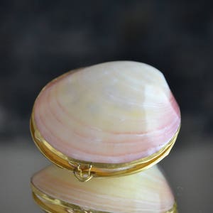 May include: A seashell trinket box with a gold metal rim and hinge. The box is closed and has a pink and white interior.