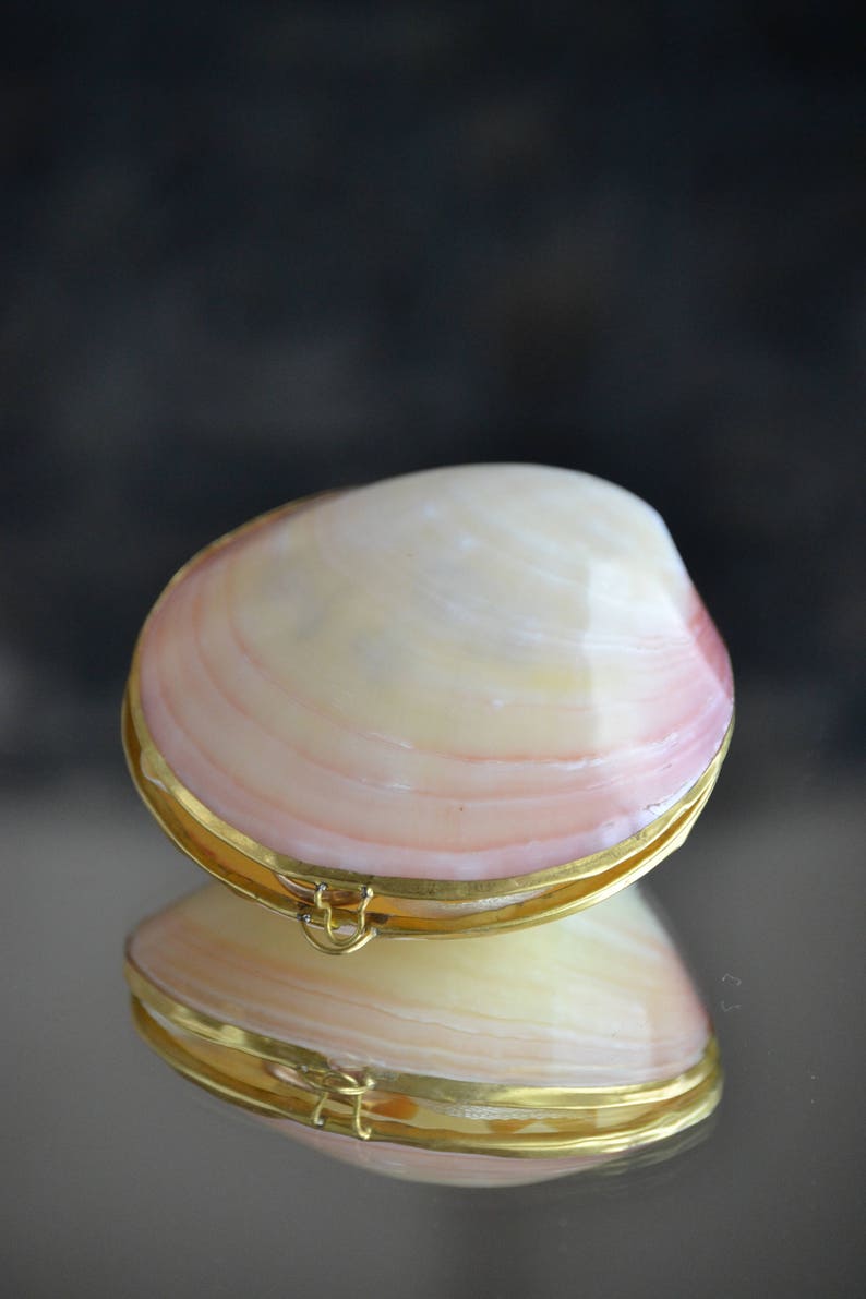 May include: A seashell trinket box with a gold metal rim and hinge. The box is closed and has a pink and white interior.