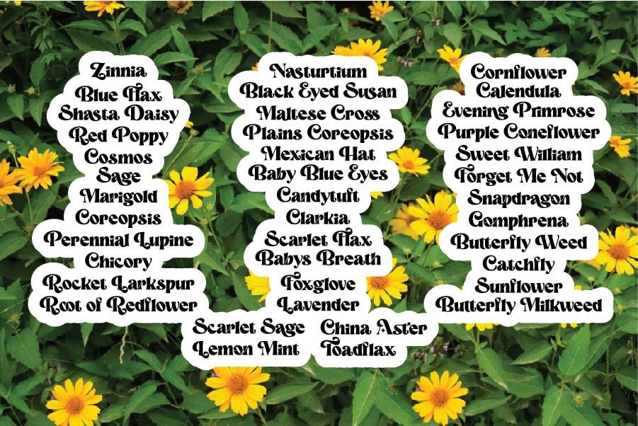 Flower Garden Marker Labels SVG PNG Retro Font Wild Flower Garden ...