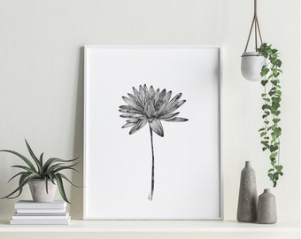 Birth Month Flower Print | INSTANT DOWNLOAD | Water Lily flower | July flower | Wall Art | Wall Decor