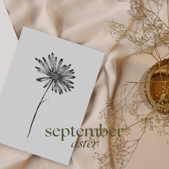 Birth Month Flower Print | Aster flower | September flower | Floral Wall Art | Floral Wall Decor | Floral Print