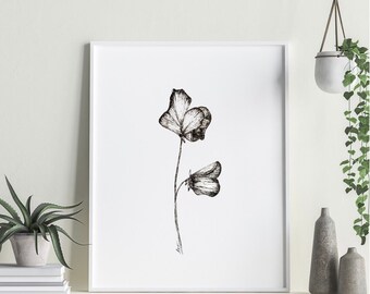 Birth Month Flower Print | INSTANT DOWNLOAD | Sweet Pea flower | April flower | Wall Art | Wall Decor