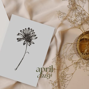 Birth Month Flower Print | Daisy flower | April flower | Floral Wall Art | Floral Wall Decor | Floral Print