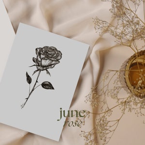 Birth Month Flower Print | Rose flower | June flower | Floral Wall Art | Floral Wall Decor | Floral Print