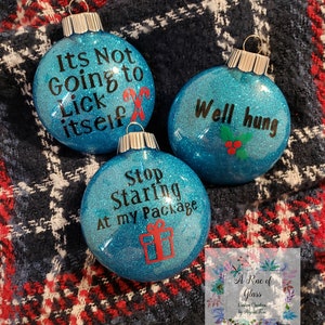 Naughty ornaments, Christmas ornaments, Gag gift, Silly ornaments, custom made