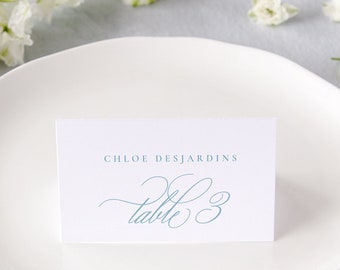 GISELLE | Dusty Blue Wedding Place Cards, Calligraphy Escort Cards, Printed Name Cards Wedding, Classic Wedding Place Card