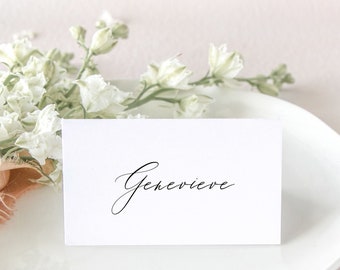 VIOLETTE | Modern Wedding Place Card, Printed Name Cards Wedding, Calligraphy Escort Cards, Winter Wedding Place Cards