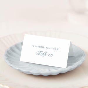 Classic Wedding Place Cards, Elegant Wedding Escort Card, Name Cards Wedding, Blue Wedding Name Cards, Simple Wedding Decor | MARIELLE