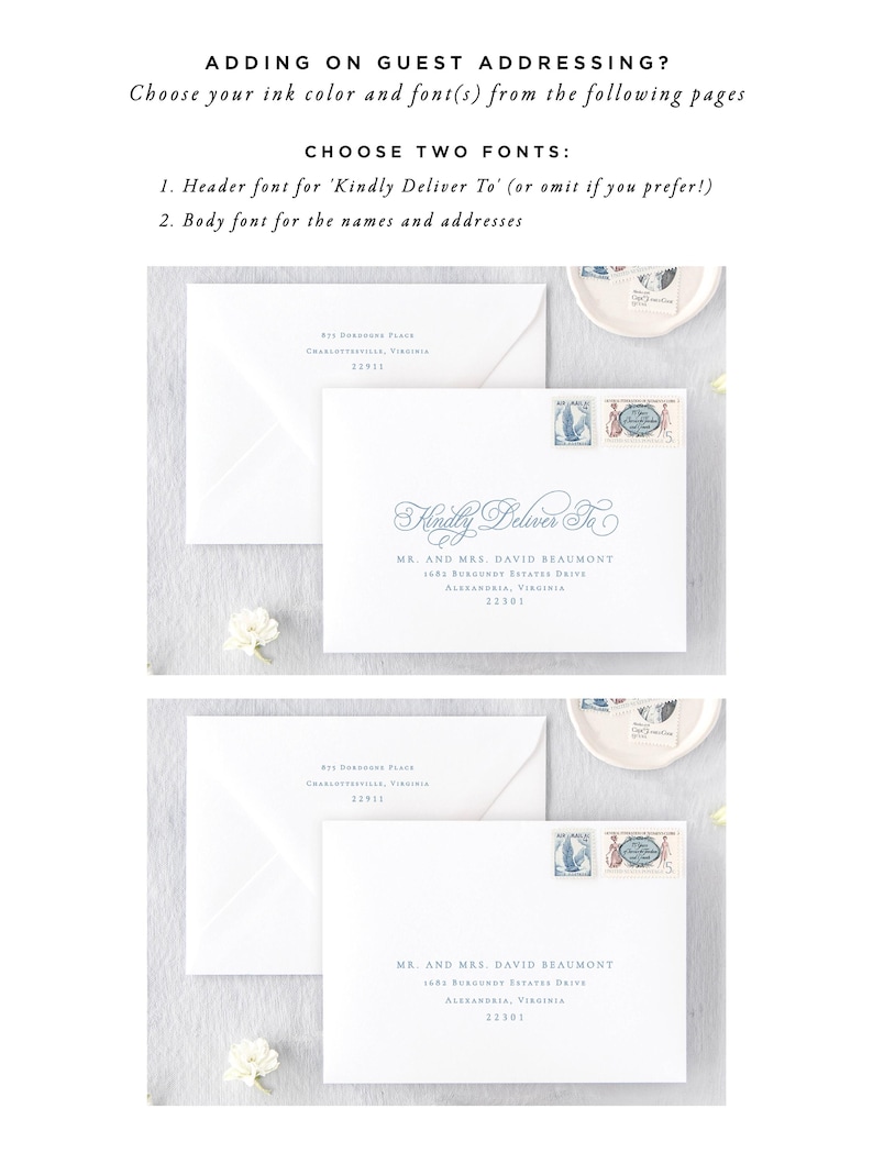 a selection of two different types of envelopes, each with a unique address and address label.