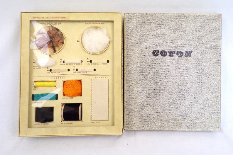 Le Coton - Educational painting of the flower with thread and fa Le Coton - Educational painting of the flower with thread and fa