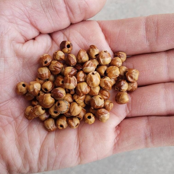 100 graines de baies de genièvre, perles de cèdre, perles fantômes Navajo