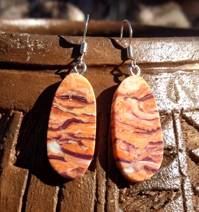 Hand-carved Tiger Paw Shell Earrings