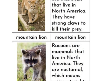 Animals of North America - Three/Four Part Cards