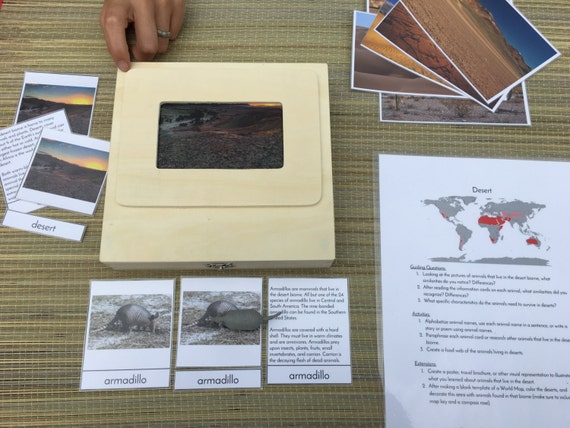 Desert Biome Project In A Box
