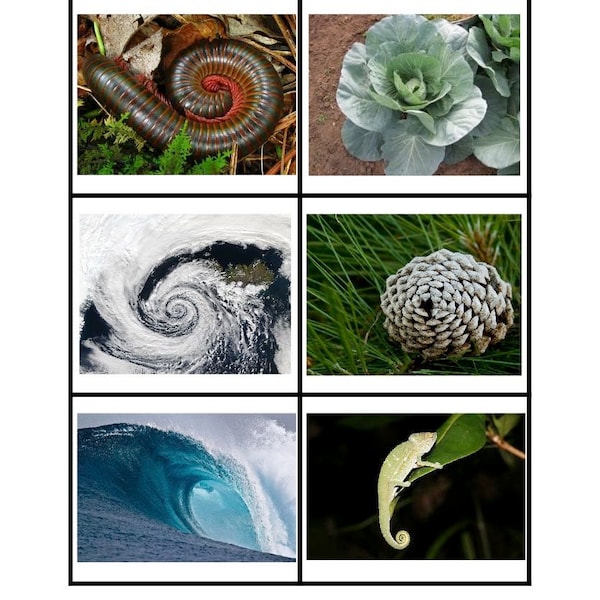 Fibonacci Spiral Matching Cards