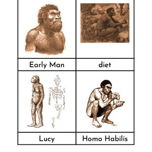 Montessori Prehistoric early Man Three/four Part Cards - Etsy