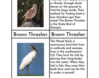 Montessori Birds of Georgia - Three/Four Part Cards