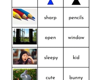 Montessori Adjective & Noun Matching