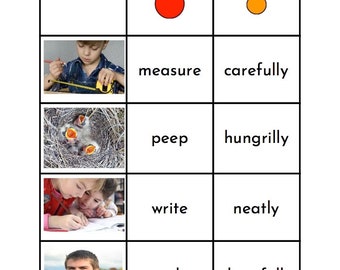 Montessori Verb & Adverb Matching